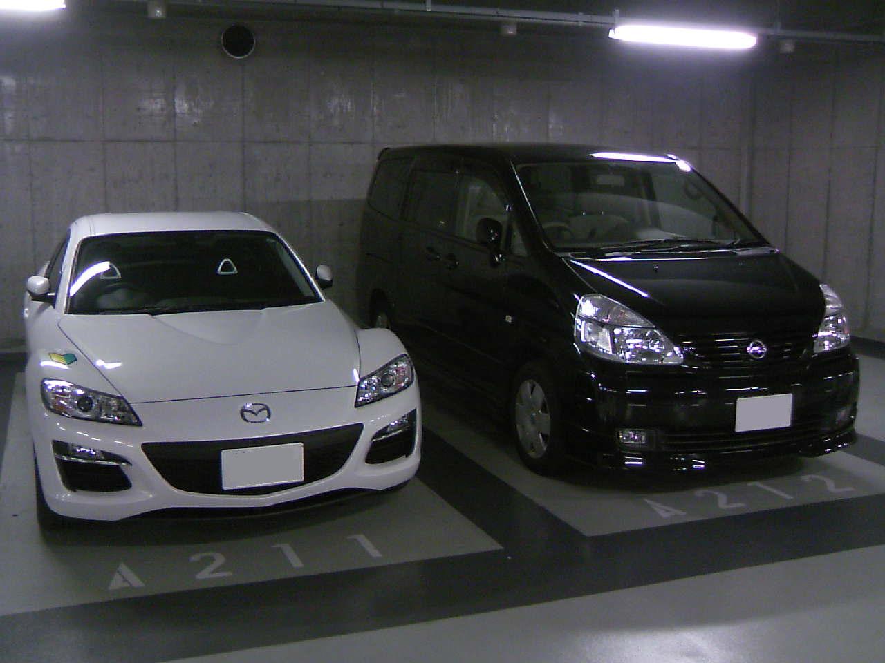 20080419_001.jpg